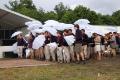 clan saint rieul - JN2007   522